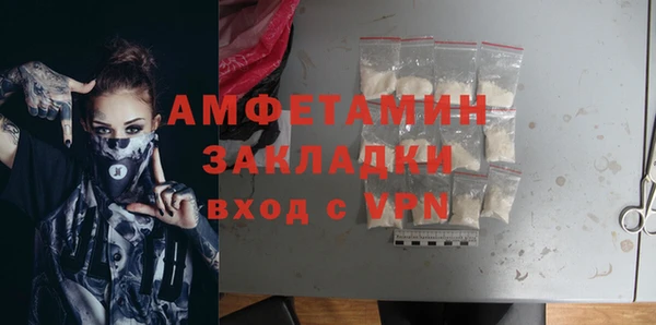 гашик Карпинск