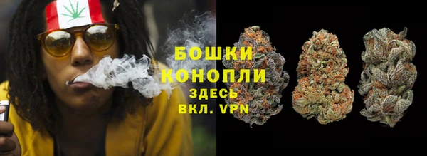 гашик Карпинск