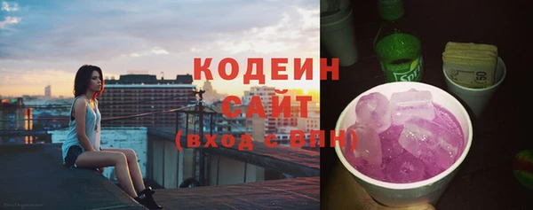 гашик Карпинск