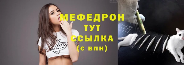 гашик Карпинск