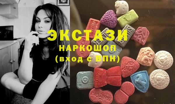 гашик Карпинск