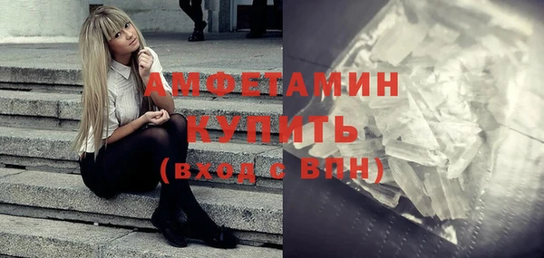 гашик Карпинск