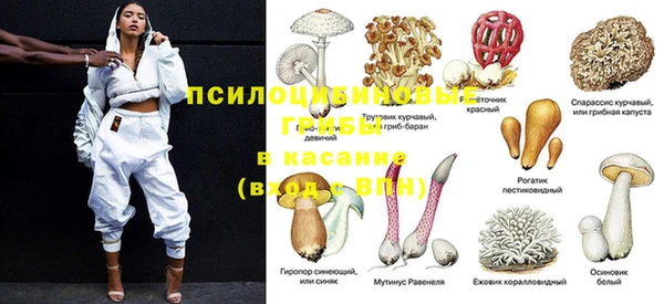 молекула духа Карталы