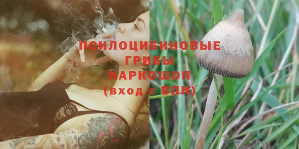 гашик Карпинск