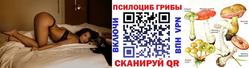 Купить  Светлый  Псилоцибиновые грибы прущие грибы 